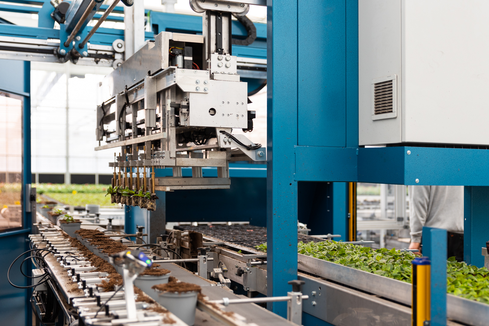 Zijaanzicht van de MidiQuatro, de verplantmachine van TTA-ISO die jonge plantjes optilt.