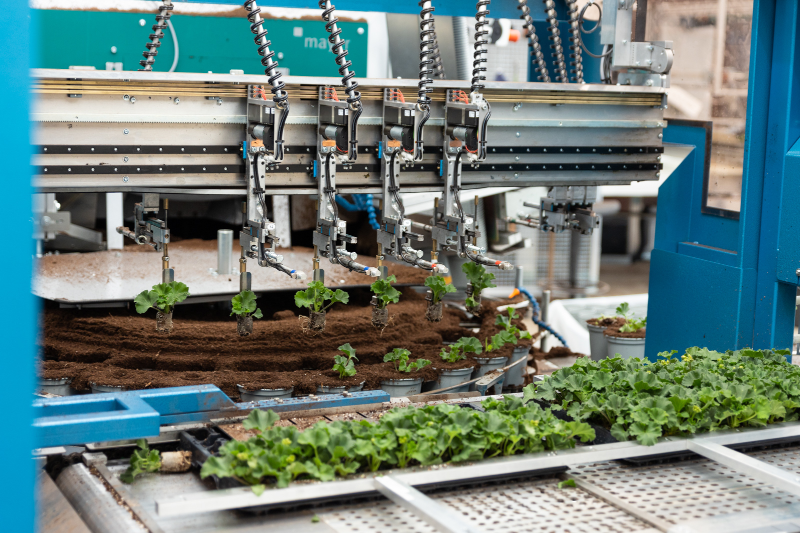 De ronde potvuller de MidiCurve, met een houder voor jonge plantstekken.