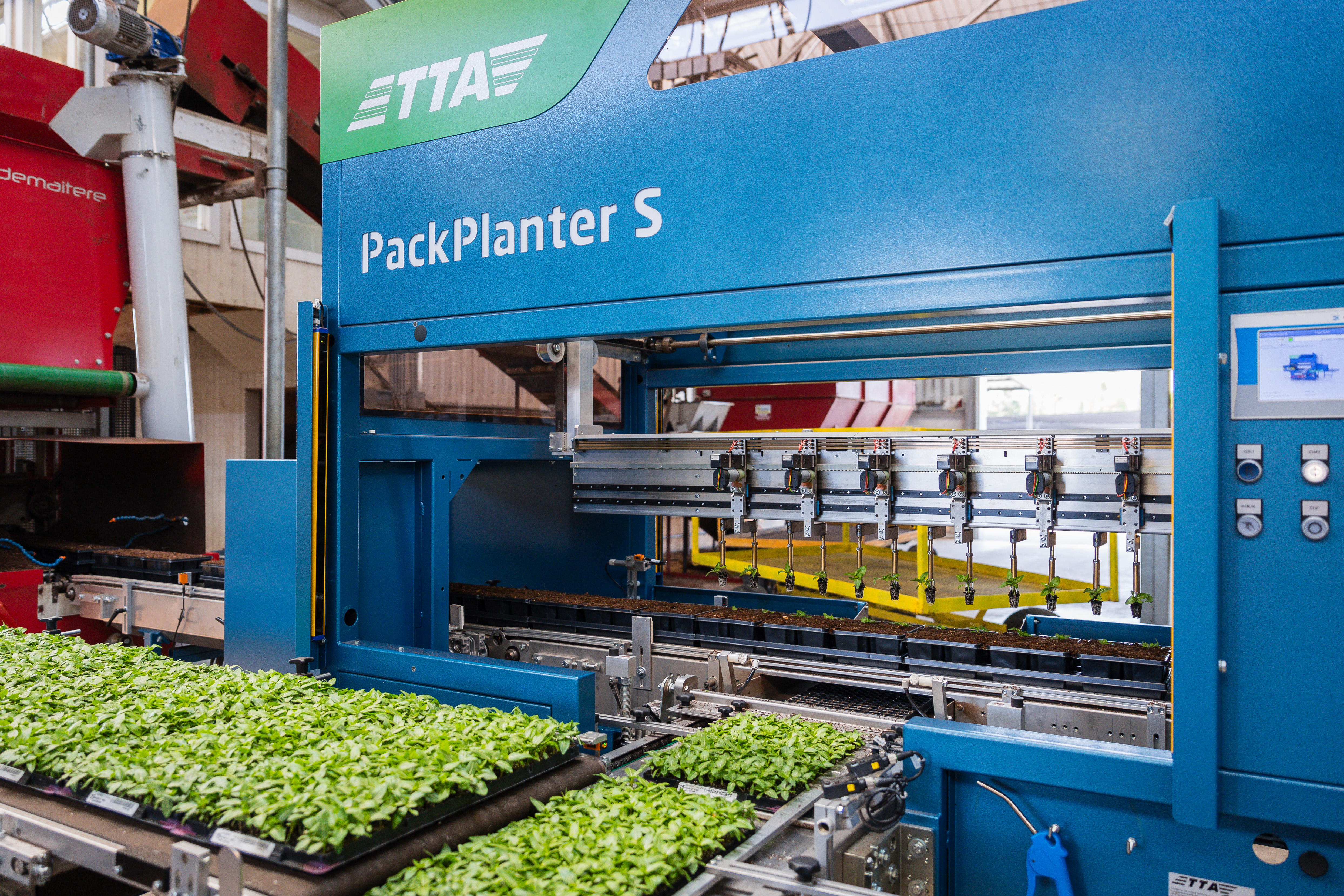 Robotgrijpers van de TTA-ISO PackPlanter-S die stekken vasthouden gedurende het verplanten in een kas.