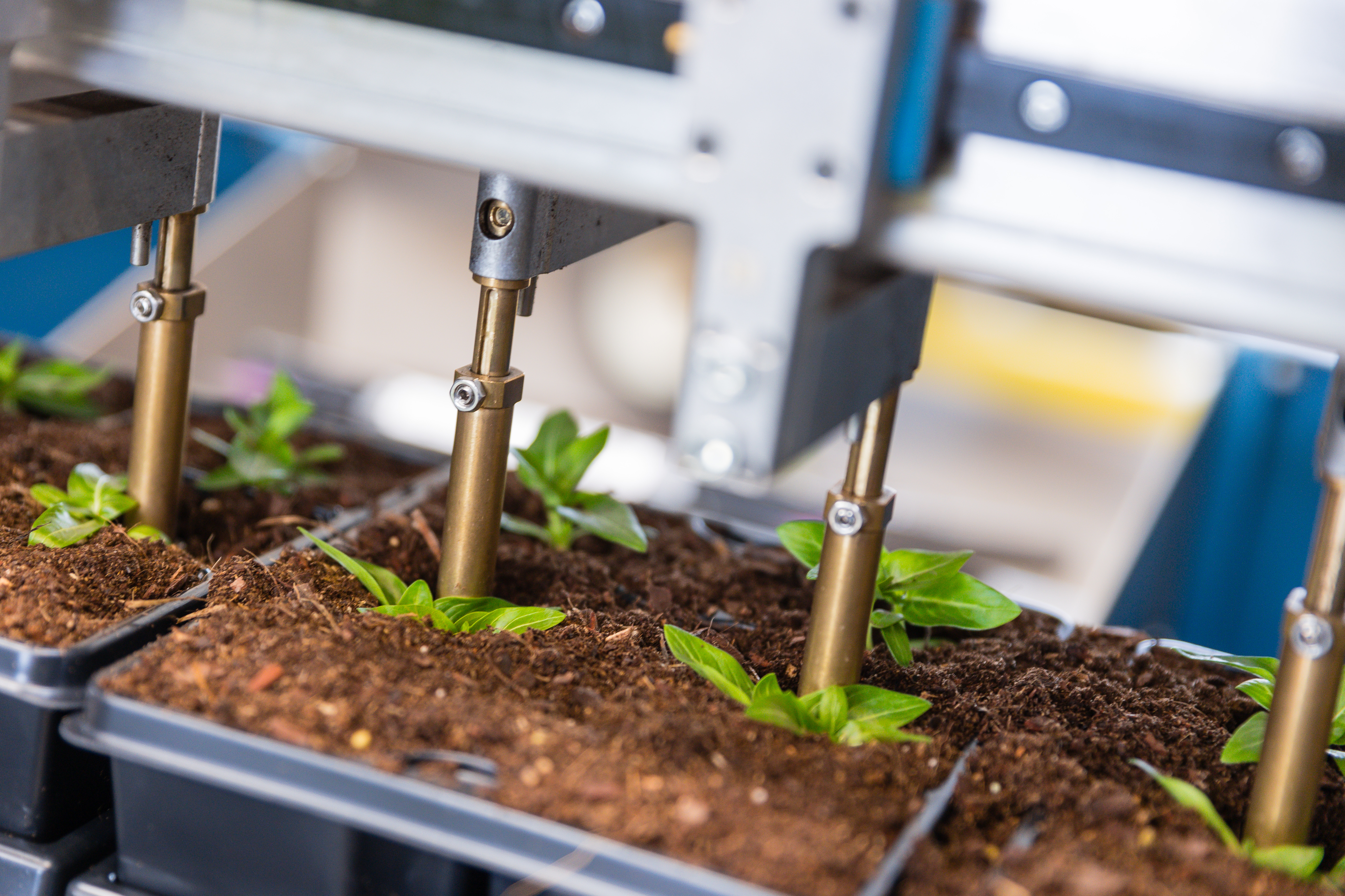 Stekken die in trays worden geplaatst door de robotgrijpers van de TTA-ISO PackPlanter-s